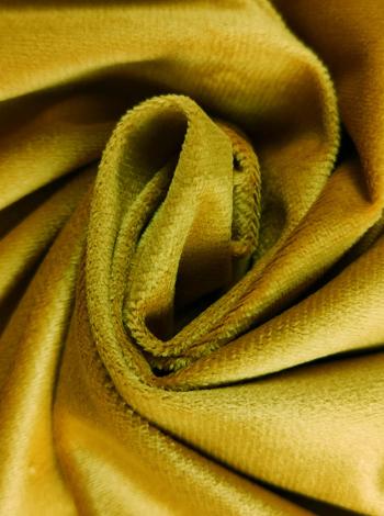 هولاند فيلفيت