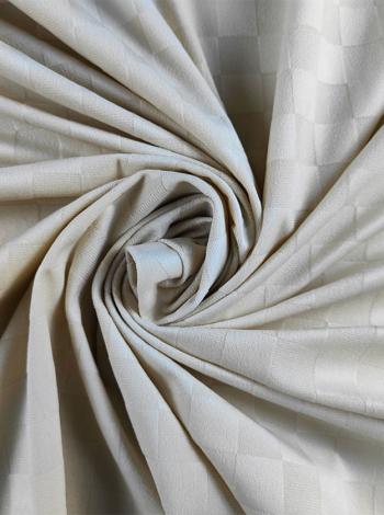 شبكة بيرنوت بلاس